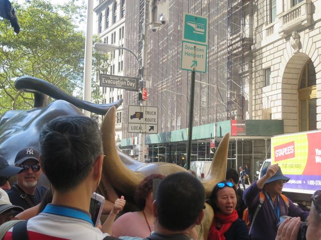 12:00　チャージングブル　近寄れもしないよほとんどが中国人