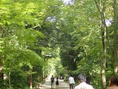 河合神社に立ち寄った後は、下鴨神社へ
木々が生い茂り、とても良い気が流れています。