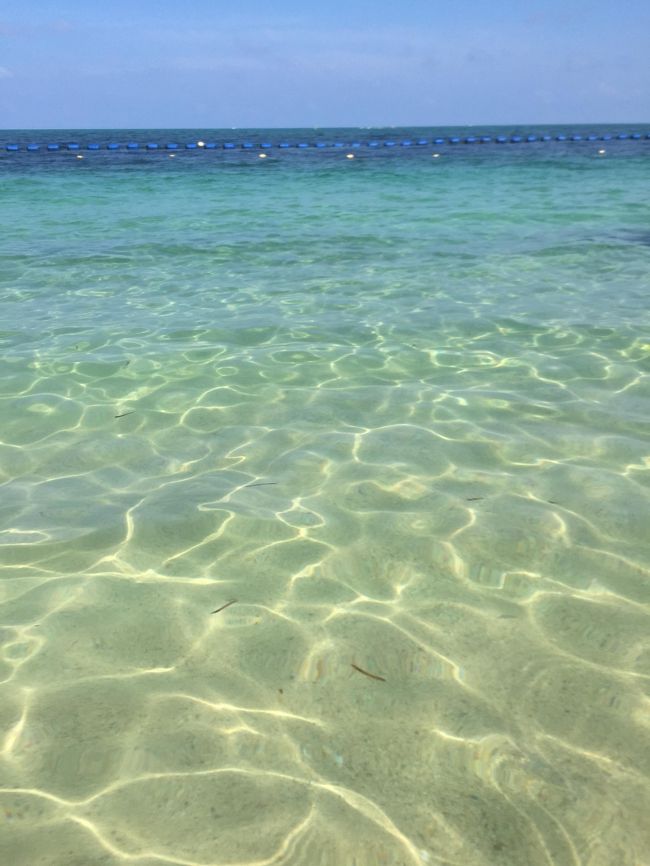 タイガービーチの透明度はこんな感じ！