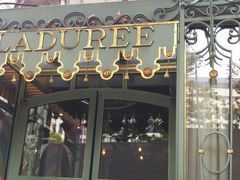 一応見ておきます(笑)