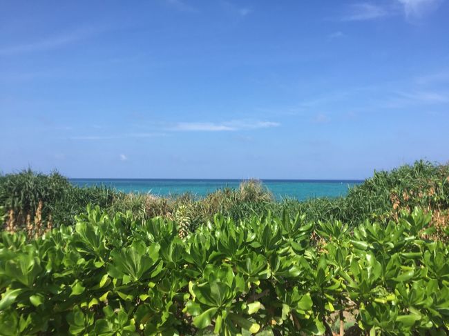 プールから見えるビーチ。