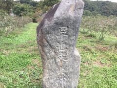 遠野には早池峰山があり、早池峰神社があるようですが、
今回は天気もよくなく遠いので行きませんでした。
霊峰早池峰の山霊を祀り、創祀は大同元年（807年）ということです。
この碑は早池峰山古参道跡で伝承園から遠野に行く途中にありました。