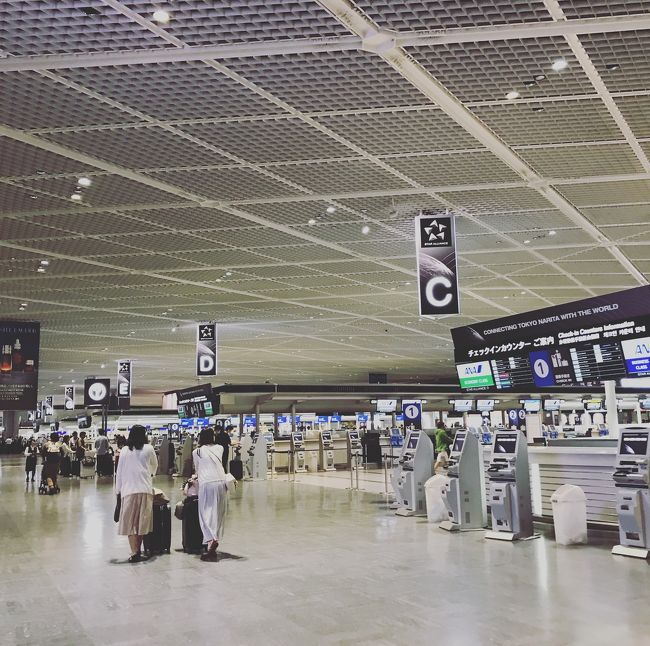 仕事を終え、急ぎ成田空港へ！<br />荷物は空港受取にしていて、受取もスイカ支払いもできたのでスムーズでした。