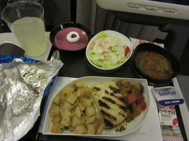 今回はターキッシュエアラインです。<br />21:25(TK053)→04:10<br />イスタンブールで乗換え、翌日の<br />07:35  (TK1755)→10:30<br />