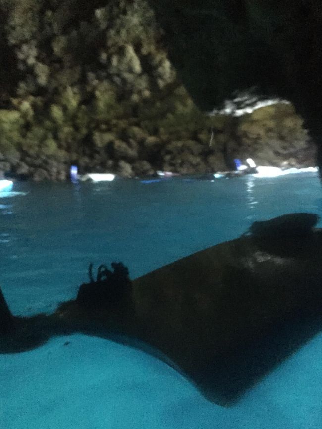 振り向くと青～！<br />シュノーケルをしながら一生懸命写真を撮ったのですが全然上手く撮れてません！！