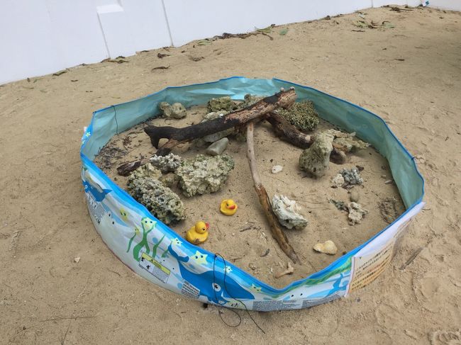 そしてまたプールへ戻ります。<br /><br />戻る途中、ヤドカリハウスなるスペース発見。