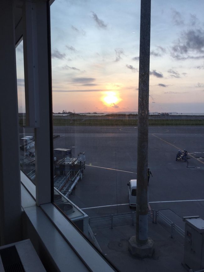 ANA474 18:15那覇発→20:40羽田着<br />で帰路につきます。<br /><br />海とプールしか遊んでない、レンタカーなしでも十分ホテルステイで楽しめた2泊3日の沖縄ひとり旅。<br />とっても大満足の旅ができました！