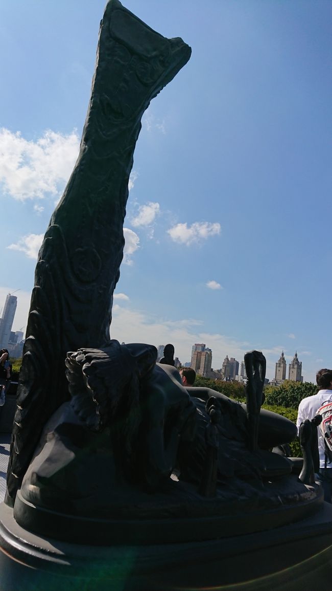 逆光で何が映っているのか。検索しても出てきません<br />奇抜な物体が屋上に多々ありました