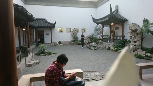 ヨーロピアンペインティング残りのフェルメール632番の後日本館を通り過ぎアスターコート217番へ。尾形光琳が展示してないのは知っていましたが日本館の貧弱さにちょっとがっかりしました。狩野派は充実していました