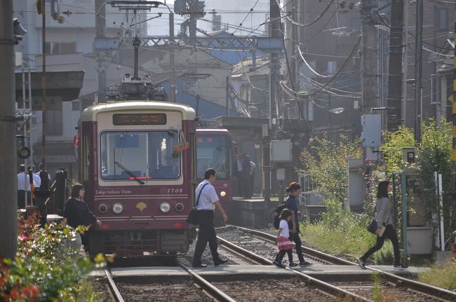 都電荒川線を歩くその壱 三ノ輪橋停留所から王子駅前停留所まで 都電荒川線を歩くその壱 三ノ輪橋停留所から王子駅前停留所まで