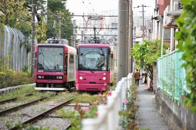 都電 サボ　三輪橋－東京駅　三輪車庫－東京駅 都電 サボ 三輪橋－東京駅 三輪車庫－東京駅 - コレクション
