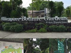 滞在2日目。Singapore Botanic Gardens。
SINは39回目の滞在になるが、いつもは実質中1日の滞在で時間があまり無いのと、微妙に遠征しずらいのとで、ここには一度も来たことが無かった。今回は念願の純粋なレジャー滞在が実現したおかげでやっと訪問出来た。もちろん、酷暑環境下のラントレーニングを兼ねて。
さて、東京ドーム11個分の広さというが、どこから行こう？
それにしても、こういう広大な施設の広さを表す時に、なんで東京ドーム何個分、て言うんだろうね？w