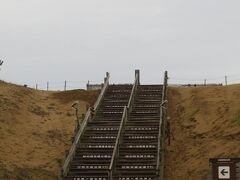 ようやく鳥取砂丘に到着。雨が降ったり止んだり。