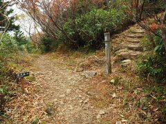 源太森の分岐へ。ここを登ると、