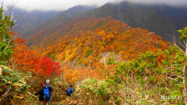 谷川岳登山途中で断念 紅葉を求め 群馬県の旅行記 ブログ By Zenkyou01さん フォートラベル 谷川岳登山途中で断念 紅葉を求め 群馬県の旅行記 ブログ By Zenkyou01さん フォートラベル