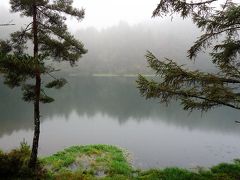 小雨降る霧の中、御射鹿池（Mishagaike）に到着。
