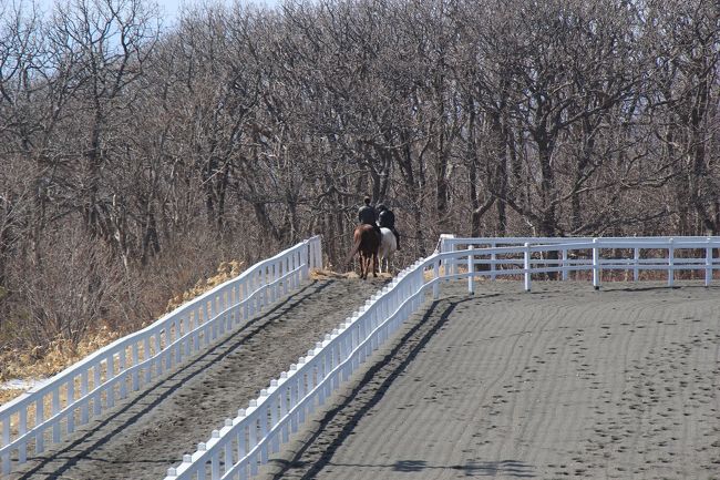 新冠では乗馬を体験、初の体験でしたが10分ほど手綱の使い方を教わり林の中に入ります。<br />１時間程の体験を終え、駅まで送ってもらい登別温泉を目指します。<br />登別温泉で1泊し函館を目指しますが、ここだけは普通電車では行けず、特急北斗を使います。
