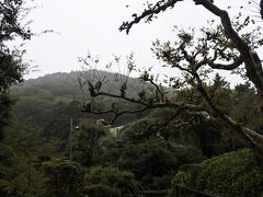 百日紅と浅間山。
百日紅（サルスベリ）は花御殿256号室の部屋の名前にもなっている。