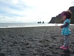 ここがレイニスファラ(Reynisfjara)かと思って行ったのですが、レイニスファラは別の場所にあったようで、ここはただのBlack Sand Beachでした。