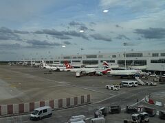 ブリュッセル空港へ到着。ついに帰国の途につく。たまたま競泳の男女日本代表選手団と同じ便で、彼らは同時期にハンガリーで行われていた世界水泳からの帰りであった。よく、「○○競技での海外遠征の際、飛行機の席はエコノミーなんですか」などという質問を掲示板などで見かけるので、答えを。競泳の場合、私でも名前を知っているようなメダリスト数人はプレミアムエコノミー、他の選手はすべてエコノミーであった。
帰路は、コペンハーゲン付近とモスクワ付近の上空で、一時的に狂おしい揺れ（普通の人なら「ちょっと揺れるな」程度かもしれない）があった。「東へ向かう飛行機はジェット気流に乗ろうとするので揺れる」という噂は本当のようだ。