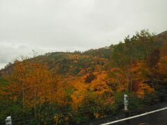 バスの車窓からも八幡平の紅葉が見る事ができました。窓に付いた雨粒は気になりますが、色づきは分かると思います。