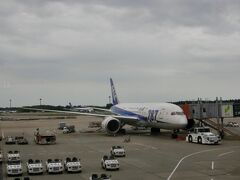 今年の夏休みは２回目のインドへ。
ANA827便で成田空港からデリーに出発です。