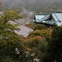 箱根の紅葉はまだまだ先（10月20日）