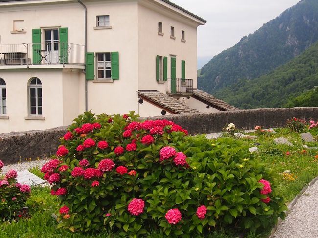 真っ赤な紫陽花が見事でした。