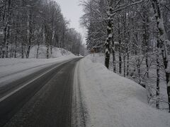 バスにはボクの他に数名の乗客がいるだけ・・・
本当に乗りたかった時刻のバスがいっぱいだったのか不安になります
同じ境遇であろうアメリキャンのおにーさんがこのバスはレイクに泊まるのかな？って僕に聞いてくるんですが・・・
ボクに聞いてる時点で僕と同じく旅行初心者ですね＾ｗ＾
メイビー！と答えてニッコリです
アメリキャンのおにーさんと同じバス停で降りて一緒に行かないかって言われたんですがボクはホテルを予約してあったのでホテルへ向かいました
なんか心細そうだったのでちょっと心配です