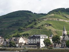 進行方向右側にモノクロのかわいい街並みが見えます。
こちらはアスマンスハウゼンという街だそうです。
ブドウ畑が広がっていてのどか！
