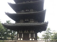 東金堂から見る五重塔