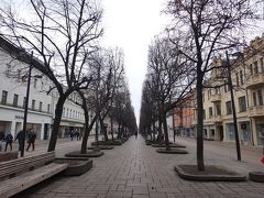 とても背の高い木が、まっすぐにきれいに並んでいました。過去にカウナスが栄えていた頃、ここが目抜き通りだったのでしょうか？華やかな人々が行き交っていた風景を思い浮かべることができます。なぜか、おーシャンゼリゼ～♪と、頭の中で歌ってしまいました。