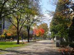 　　大通り公園の紅葉。