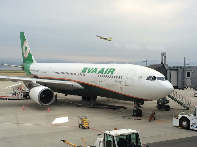 今回はエバー航空にお世話になりました