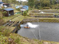 釣り堀もあります