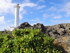 浜比嘉島にも行ったけど、何もないので、「残波岬公園」へ
黒い岩がゴツゴツとして、ハワイ島と似た感じ。なんでだろう？ 