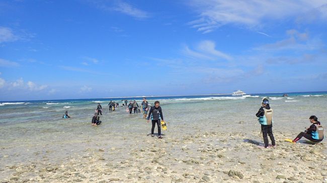 波が高くて船が島に近づけない為、沖から泳ぎながら島に上陸です。<br /><br />こんなことはほぼないとのこと。<br /><br />貴重な体験です。シュノーケルしに来たのに、波にもまれながらの上陸は楽しかった。