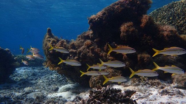 透明度抜群！！<br />