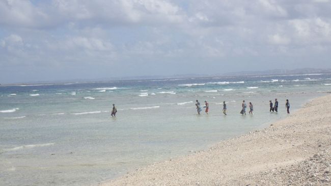 楽しかったシュノーケルも終わりです。<br />1時間くらいいましたかね。<br /><br />また荒波にもまれながら船まで泳いでいきます！<br /><br />深さ14mほどの海の中もクリアにみれました！１