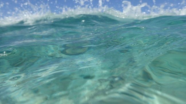 すごい波！！<br /><br />帰りの船がまた揺れる揺れる。。<br /><br />気持ち悪くなりダウンしかけました。。<br />いやダウンしたな。。