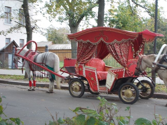 「白馬が　引いてくれる・・・　真っ赤！な　馬車」に　乗ってみませんか～　？