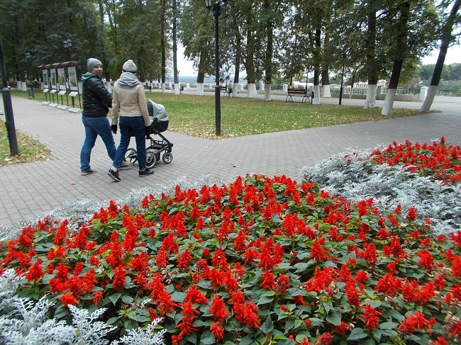 「ロシア」は　寒い！　土地柄・・・故、<br />「花造り」って　とっても、　お金・・・が　掛かること」なんだそう～。<br /><br />こんな、　「公園を　飾る！　花壇」も　贅沢品。