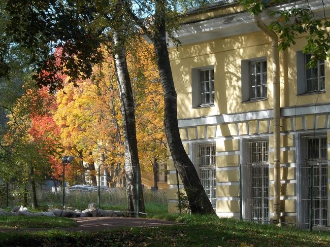 でも、　この　日・・・の　気温　８度。<br />「９月下旬・・・とは、　思えない！　寒さ」です。　