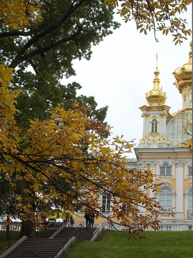 「黄葉」に　包まれる・・・　秋。<br />これから、「黄色！に　染まっていく　秋本番」。