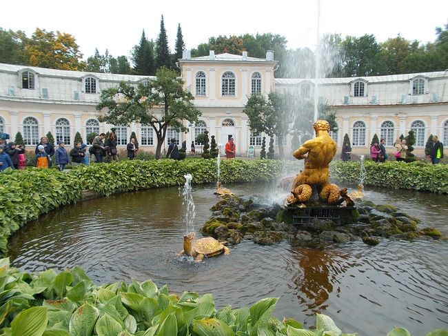 とは・・・云っても　どうしても・・・　不思議　なのが、　<br /><br />中国人の　おばちゃん軍団。<br />「メークも　しない！　野良仕事・・・の　後。みたいな<br />真っ黒い！　日焼けした・・・　お顔。で<br />中国人に　大流行・・・の　（？？？）　ショッキング・ピンクを　着てしまう」<br />その　無頓着ぶり。　<br /><br />「綺麗な　カラー！で　お洒落・・・する」なら、<br />それ！に　合わせて　「メーク　しないの～　？」って　思ってしまう。（笑）