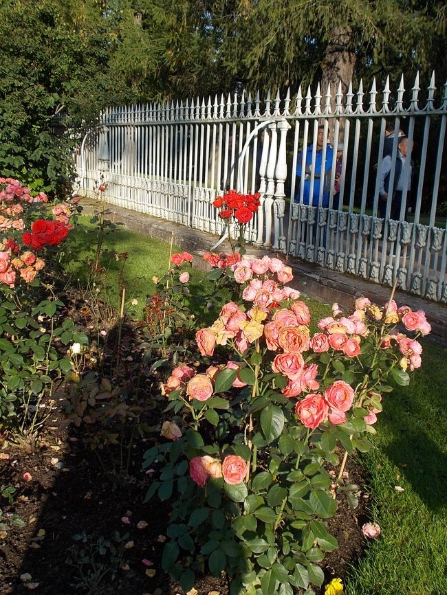 高い！位置・・・の　「屋根付き！　回廊」から。も　見渡せるように<br />グリーンの　芝生・・・には、　「可愛らしい～！　花壇」が　作られたんでしょうね。