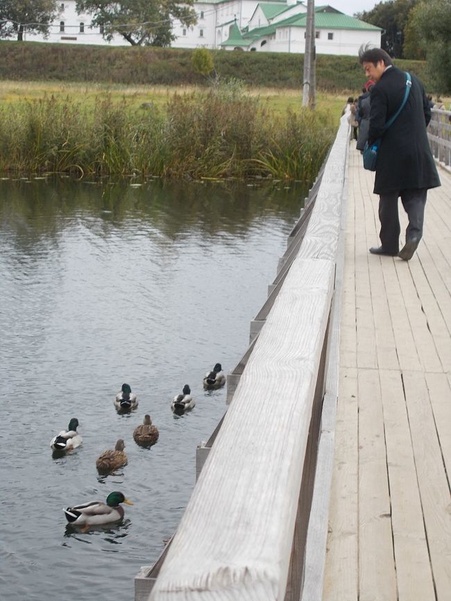 鴨君！が　泳いで・・・います。