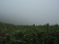 ここからも晴れていれば八幡平から藤七温泉まで見渡せたはずなのですが、ガスが掛かり何も見えません。残念。