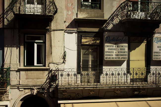 真夏の日差しが照り付けています。