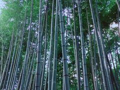 竹林の道は、観光客でいっぱいでした!　

有名な観光地だからか、あまりにも人が多すぎてそこまで感動はなかったかも…。　数年前に訪れた鎌倉の報国寺の竹林の方が息を飲む美しさだったな…。　その時の旅行記は↓
https://4travel.jp/travelogue/10762498　(2013年3月)